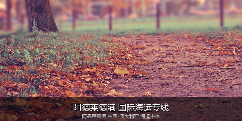 中澳海运跨境电商物流解决方案